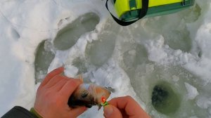 Зимняя рыбалка Судак на балансиры в глухозимье с Кама Фишинг