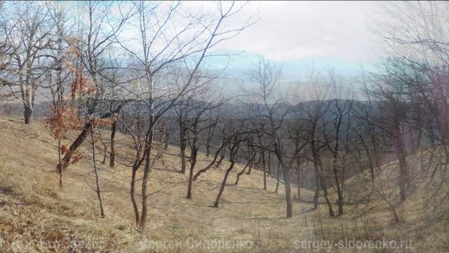 Ботанический Сад 365 16 апреля 2019 смотреть онлайн