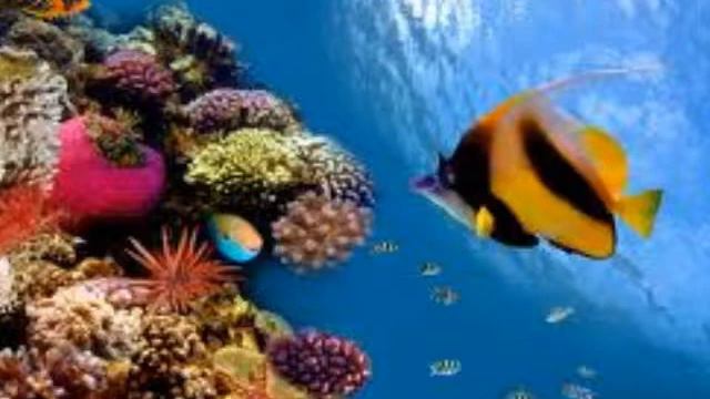 Египет смотреть онлайн