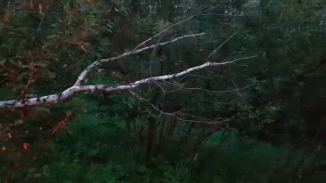 Что будет если зарэгоузить дрова на Приору!) смотреть онлайн