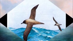 Нина Пантелеева - Каникулы любви