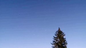 Такла #голуби