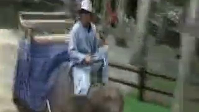 BALI ELEPHANT SAFARI PARK UBUD