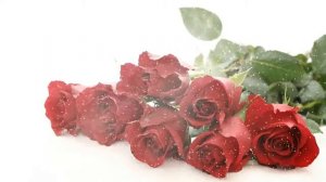 Опять зима песня