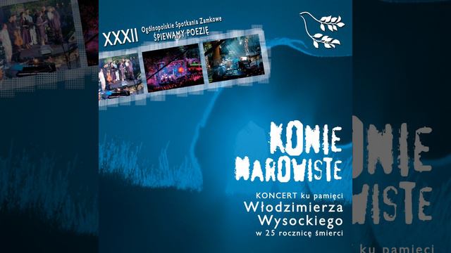 Na ten chłód (Live) смотреть онлайн