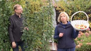 ОМУ осенне для плодового сада