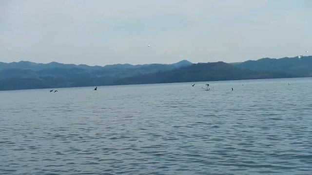 Quick Tour of Catemaco Veracruz - MEXICO w/Mike Vondruska - Travel Guide смотреть онлайн