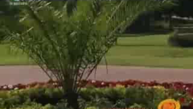 Бэкграуд 14-05-07