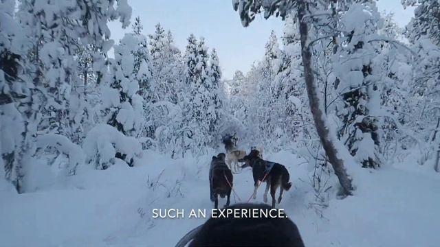 LAPLAND, ROVANIEMI, FINLAND | SANTA'S VILLAGE, SANTA'S PARK, DOGSLEDDING | FAMILY HOLIDAY смотреть онлайн