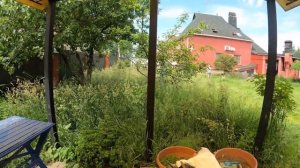 PATRIOT PT 47 LS  сборка и тест