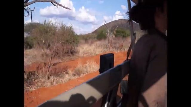 Safari Kenya Tsavo Ouest: sur la piste, vue à 360° смотреть онлайн