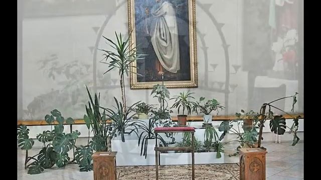 Римско Католический храм смотреть онлайн