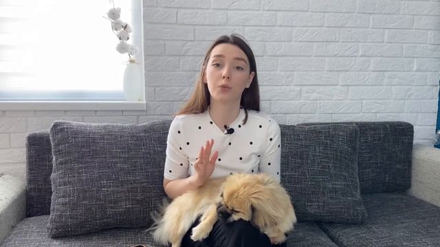 ВАКЦИНАЦИЯ СОБАК: не шутите с этим | Всё про ПРИВИВКИ ДЛЯ СОБАК смотреть онлайн