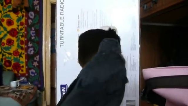 Новый дом для галчонка смотреть онлайн