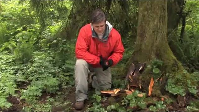 Review of the Ultimate Survival Blast Match Fire Starter смотреть онлайн