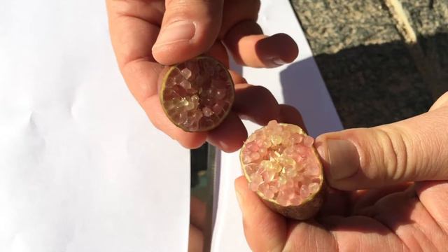 Cosa C'è Dentro Un Finger Lime Sanguinea?