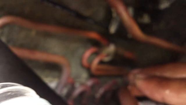 Hitachi repair смотреть онлайн