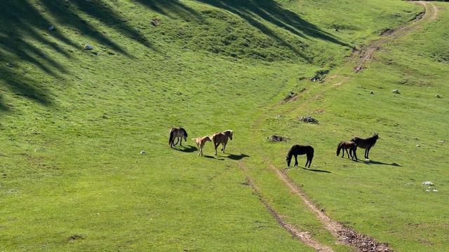 Красивая музыка Сергей Грищук! Сборник Самых Невероятно Красивых и Нежных Мелодий! релакс видео смотреть онлайн