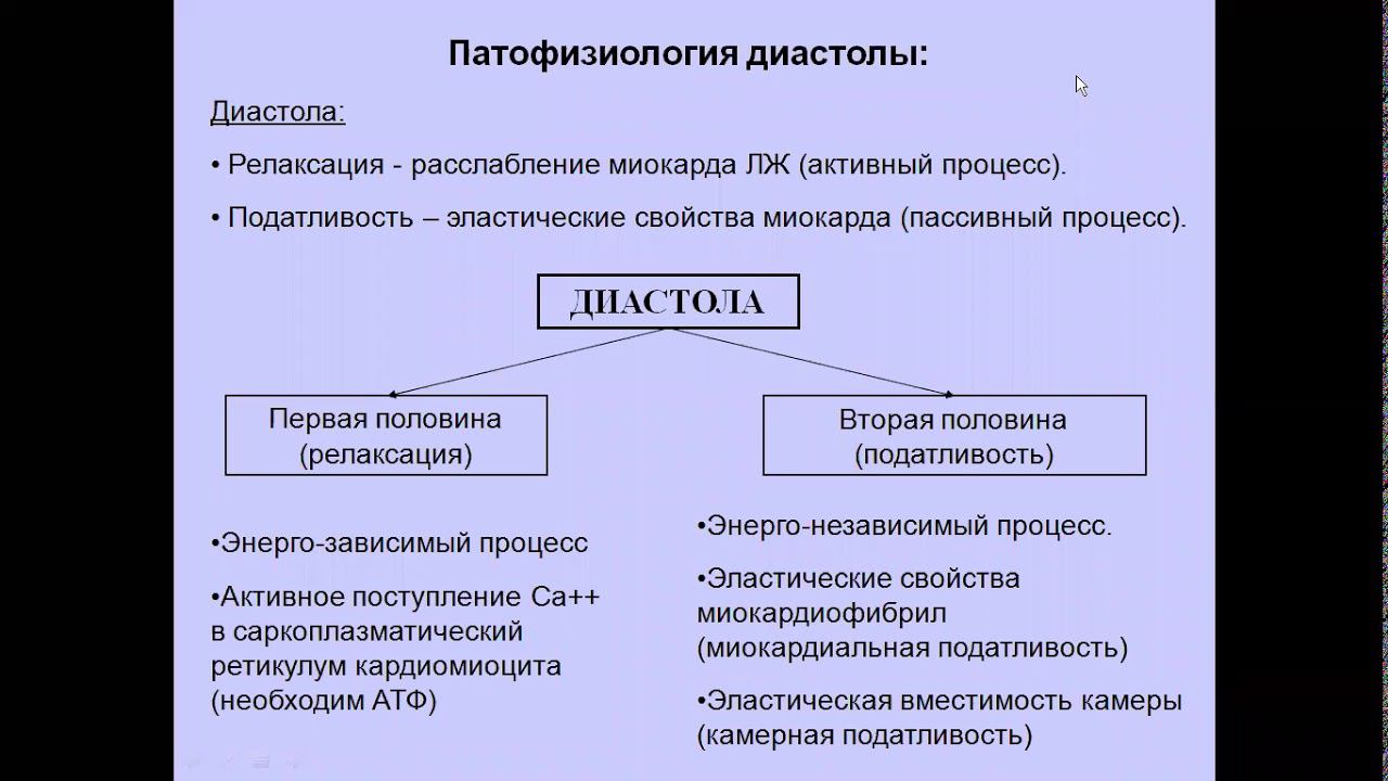 УЗД диастоличнской дисфункции ЛЖ Моргунов М Н