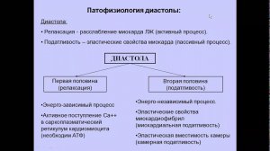УЗД диастоличнской дисфункции ЛЖ Моргунов М Н