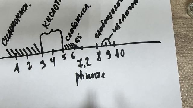 Как определить кислотность баз ? смотреть онлайн