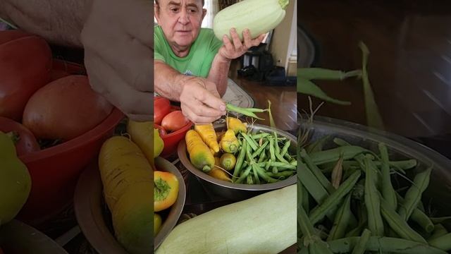 Собираем урожай с МАСТЕРОМ - фасоль Лобби , помидоры и тыквы смотреть онлайн