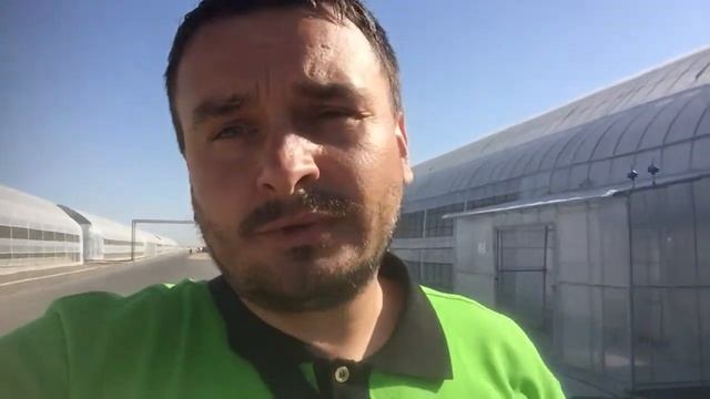 Приимущество выращивания овощей на кокосовых матах смотреть онлайн