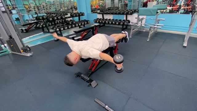 Т - отведение с гантелями лёжа на скамье смотреть онлайн
