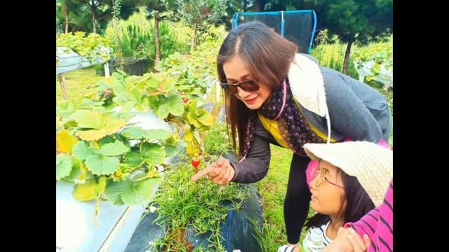 Taglucop Strawberry Hills (review And What To Expect)