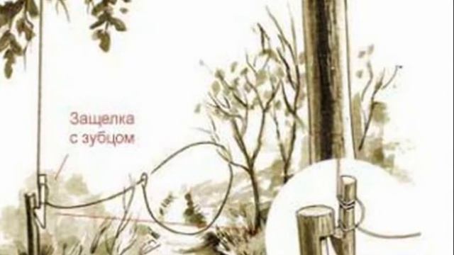 КАК ДОБЫТЬ ЕДУ В ДИКОЙ ПРИРОДЕ? Выживание. Ловушки. смотреть онлайн