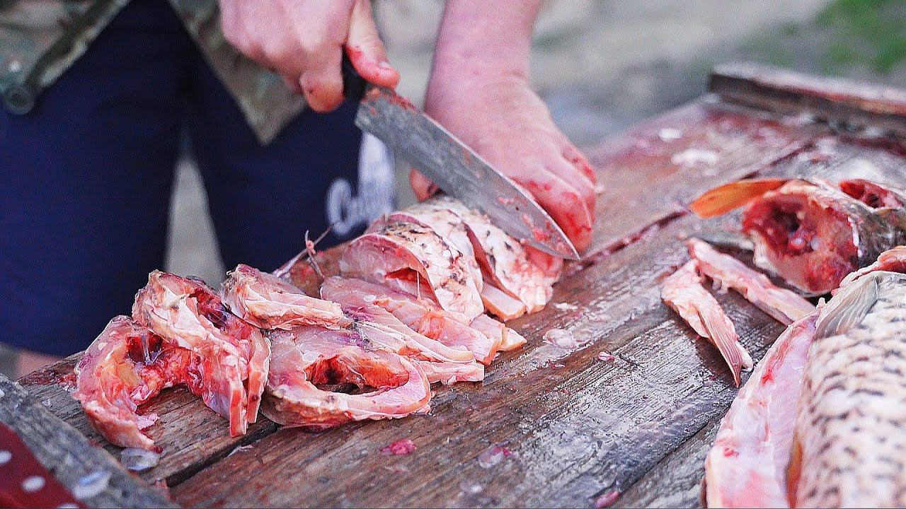 САЗАНЫ КЛЕВАЛИ МОЩНО, А Я ИЗ НИХ ШАШЛЫК. Рыбалка на сазана. Начался массовый ход рыбы с моря.Паводок смотреть онлайн