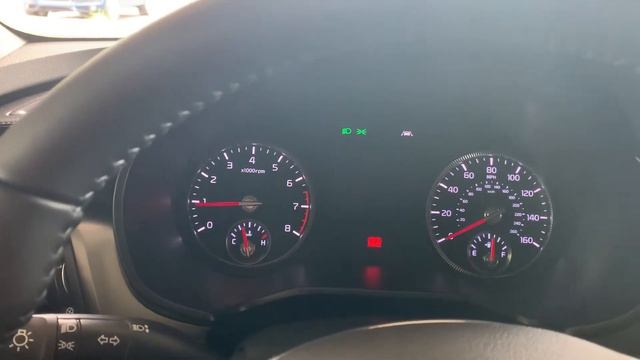 2022 Kia Telluride LCD Display Issue