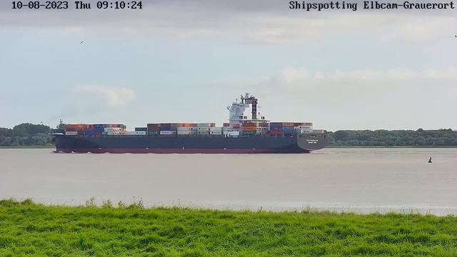 NYK DAEDALUS auf der Elbe vor Grauerort Richtung Nordsee @OceanNetworkExpress смотреть онлайн