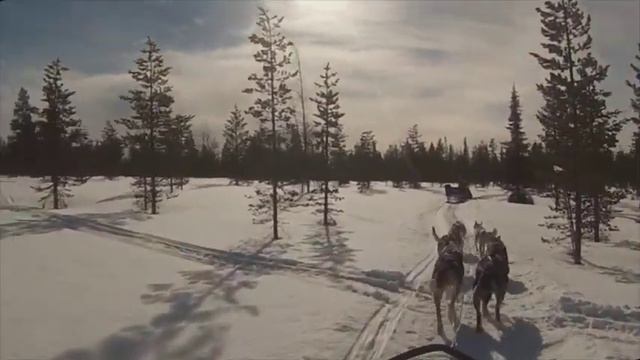 Extreme Husky Ivalo Finland смотреть онлайн