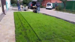 Благоустройство, озеленение, посев газона.