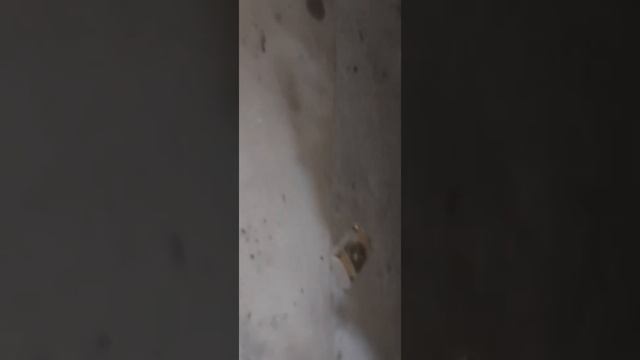 ремон рессоры усиление смотреть онлайн