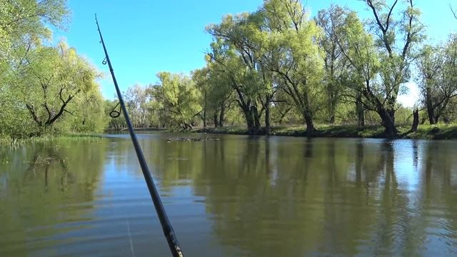 Рыбалка на Щуку в Мае. Спиннинг на Реке смотреть онлайн