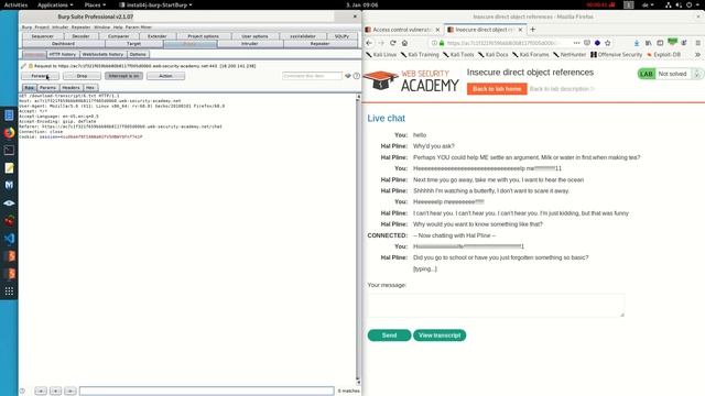 Insecure direct object references (Video solution) смотреть онлайн
