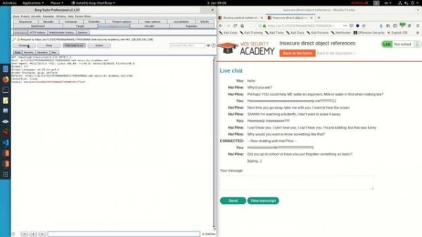 Insecure direct object references (Video solution)