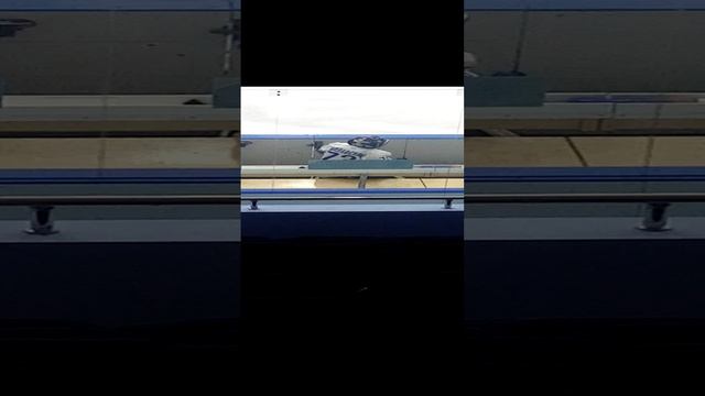 папаворотчика