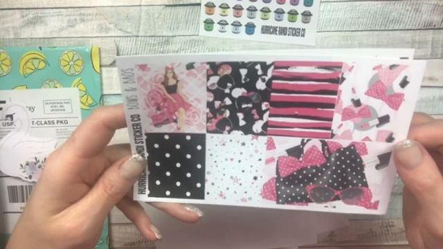 Happy Mail Haul . Ft. Hurricane Randi Sticker Co смотреть онлайн