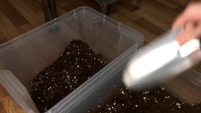 Огород в квартире. Зима. SUB смотреть онлайн