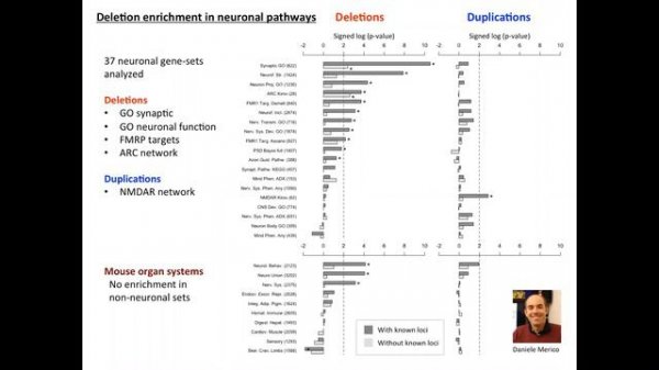 Disease associated rare Copy Number Variants in Schizophrenia - Daniel Howrigan