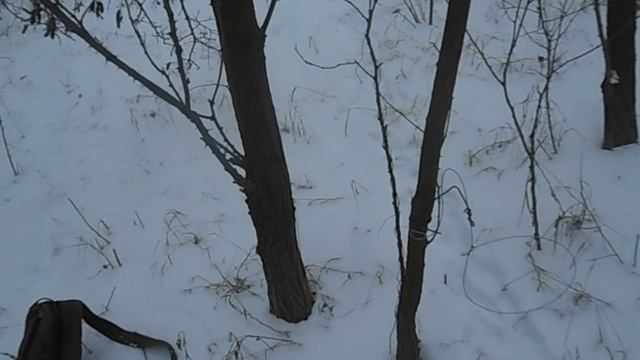 УСТАНОВКА ПЕТЕЛЬ НА ЗАЙЦА И ФАЗАНА смотреть онлайн