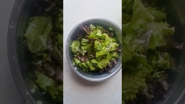 Мода для Мужчин