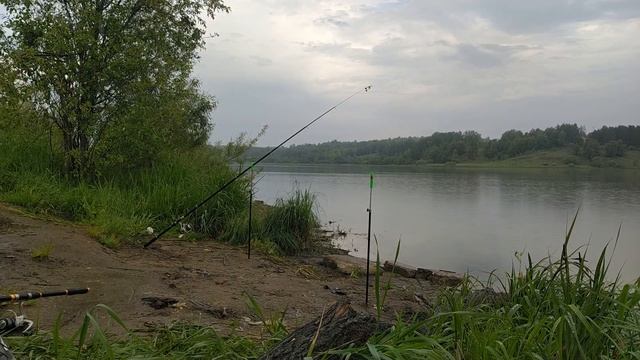 Зачетные лещи на донку с тверской плоской кормушкой  бонус окунь! Рыбалка на пруду в Пермском крае