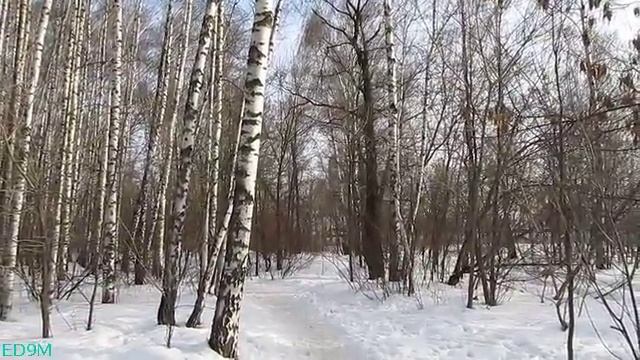 Weather in Moscow 04.04.2012 смотреть онлайн