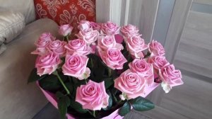 Как сохранить розы в вазе