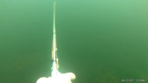 подводная охота пика (гавайка) слиптип