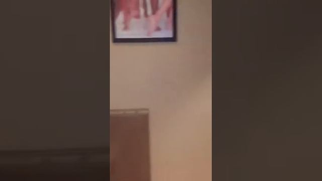 Салон красоты "ML SPA" ML company тел:3785454,87763385148,г.Алматы Курмангазы 143, 1а смотреть онлайн